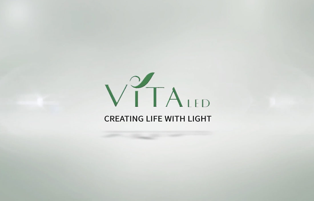 Company Video