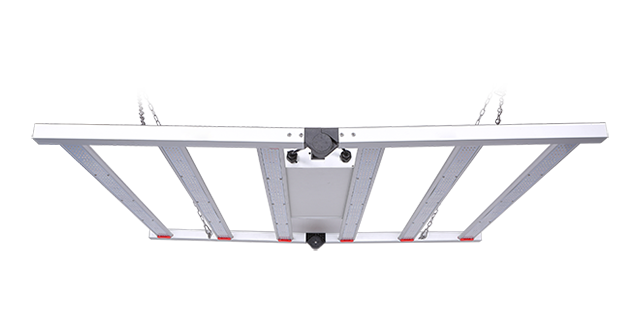 VL-GLF-4