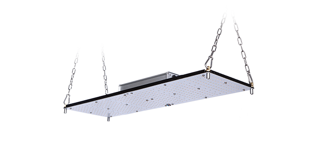 VL-GLQ-2