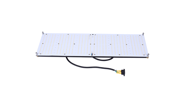 VL-GLQ-3