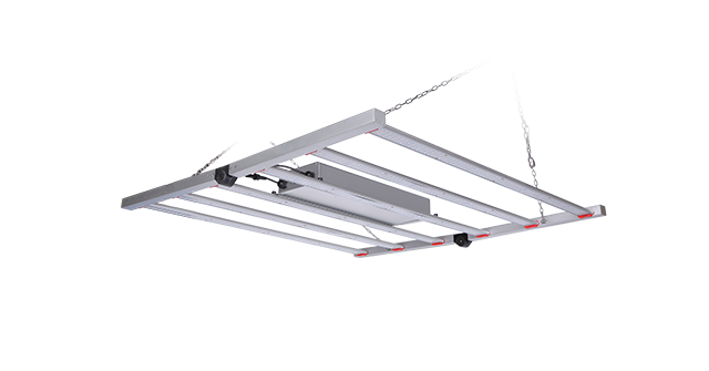 VL-GLF-6