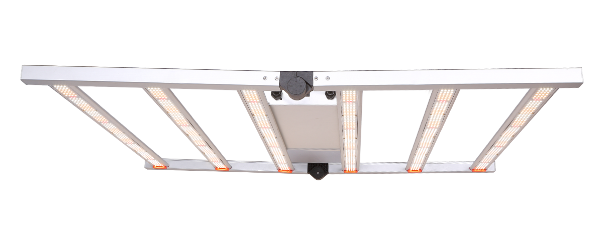 VL-GLF-4