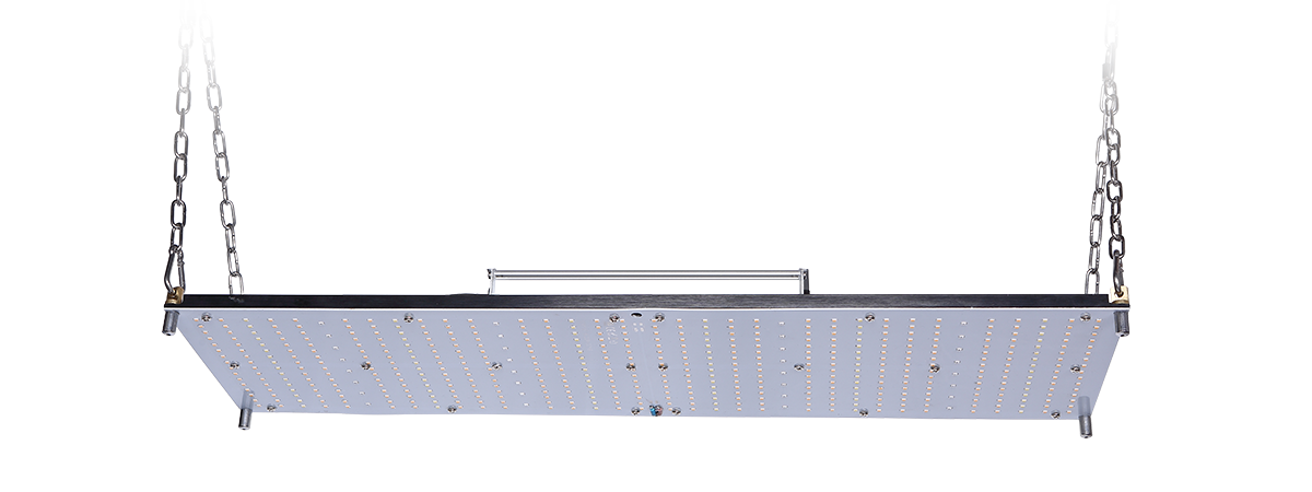 VL-GLQ-1