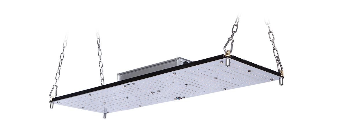 VL-GLQ-2