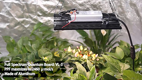 Quantum Board